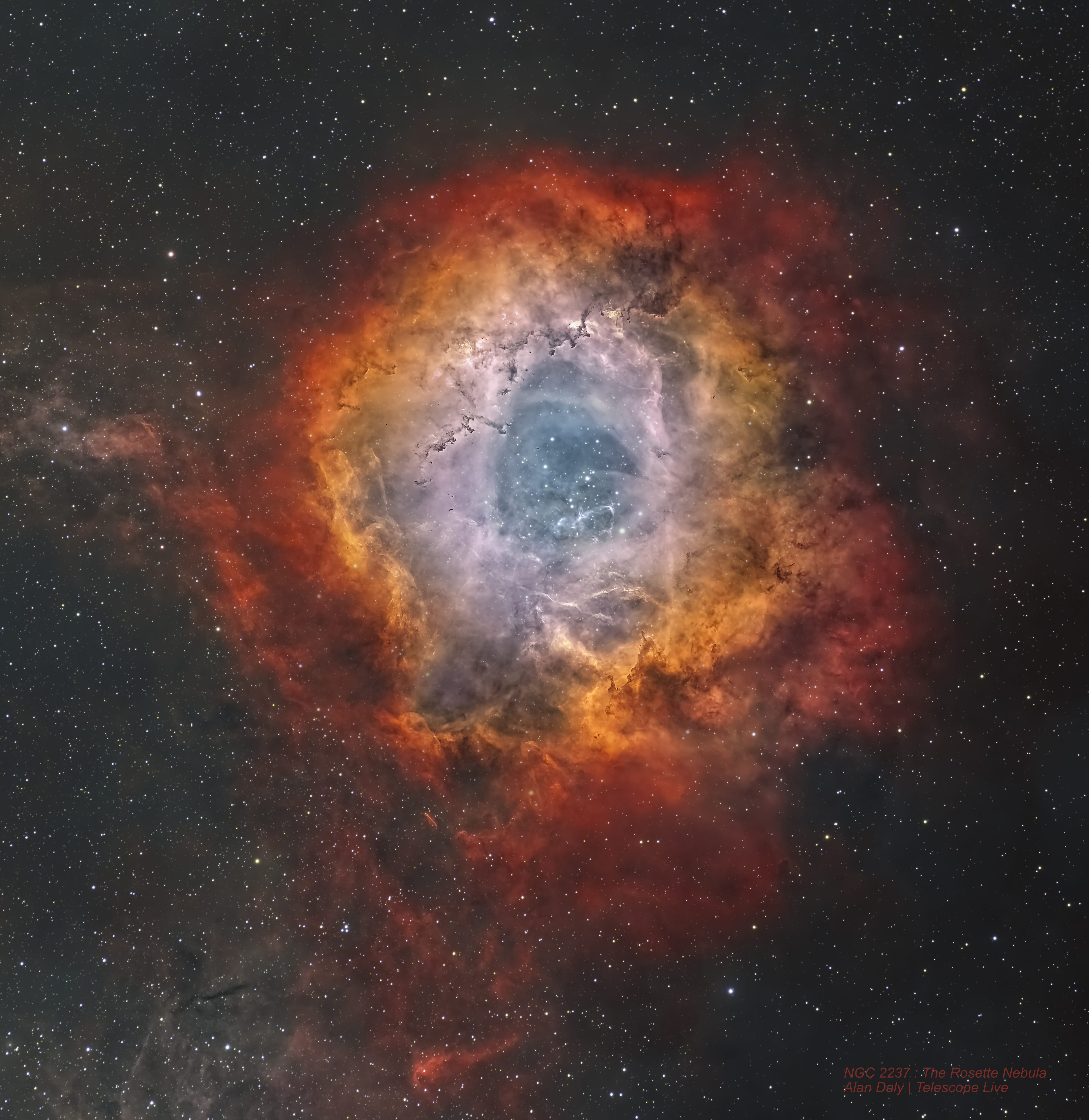 写真のアルケオロジー Rosette j1.jpg